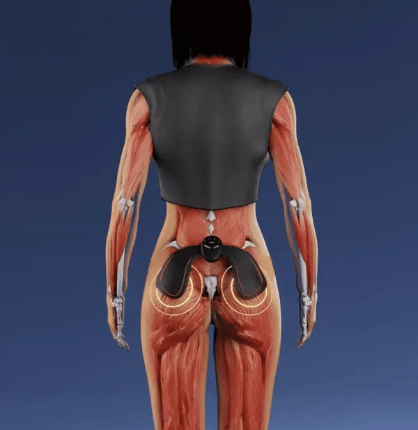 FitPro™ EMS Trainer – Tone Your Abs, Booty & Thighs in 20 Minutes