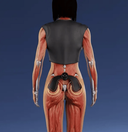 FitPro™ EMS Trainer – Tone Your Abs, Booty & Thighs in 20 Minutes